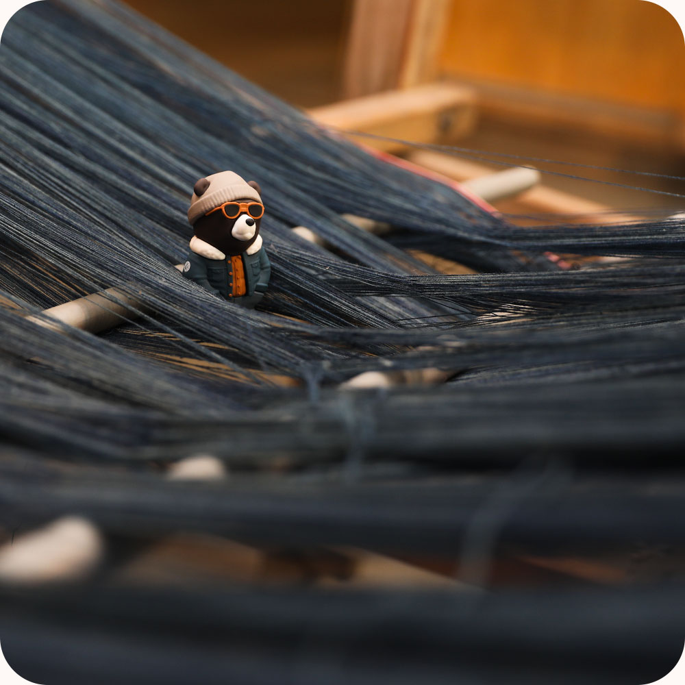 Frank's Story - The rise of Frank 4